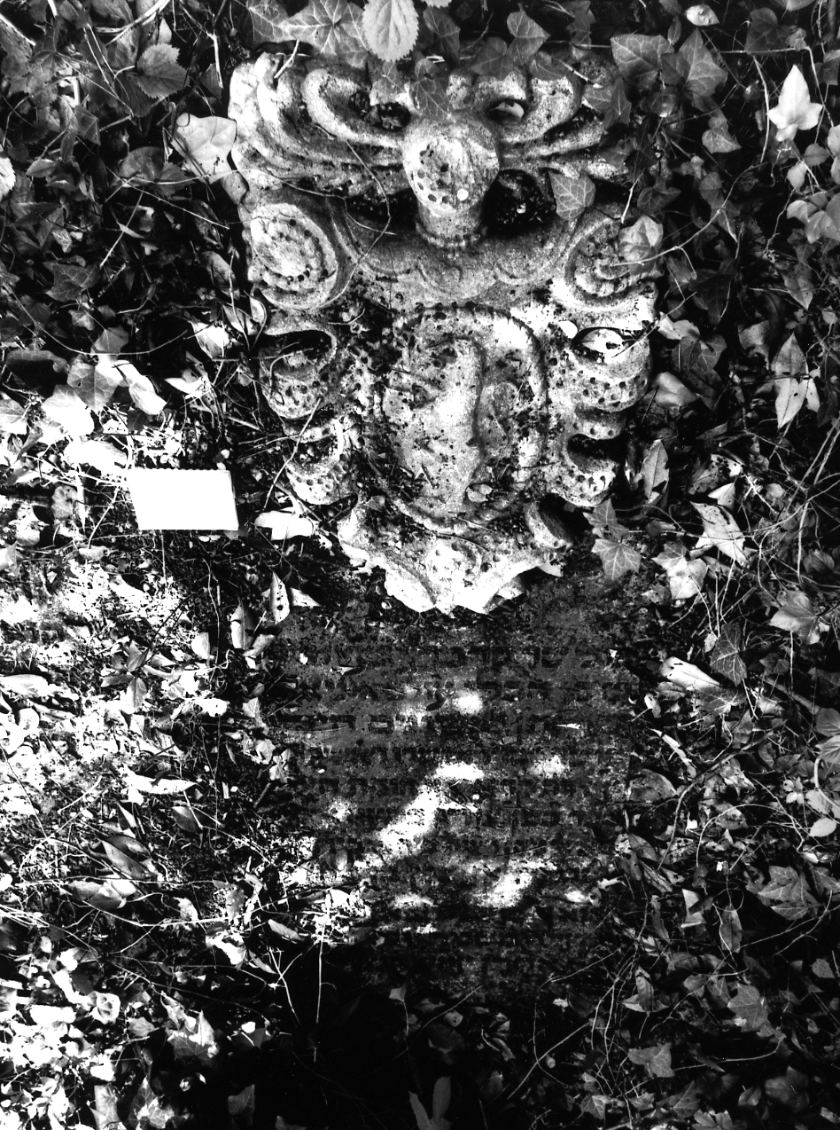 coperchio di sarcofago - ambito veneto (sec. XVII)