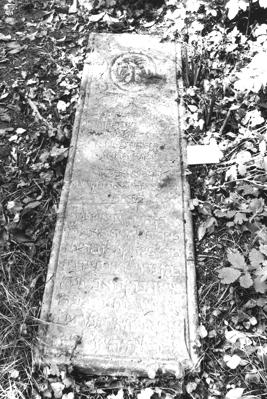 coperchio di sarcofago - ambito veneto (sec. XVIII)