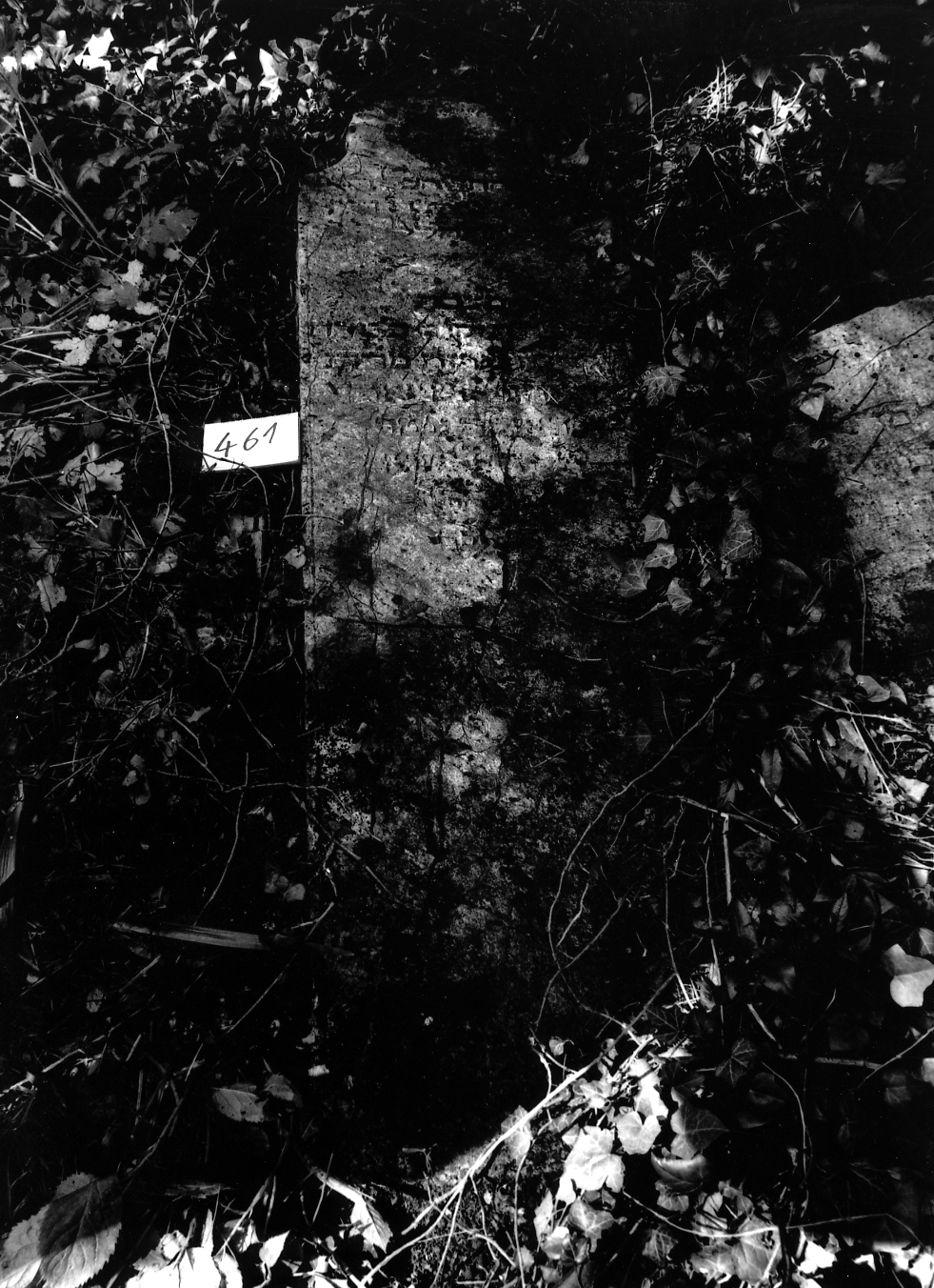 coperchio di sarcofago - ambito veneto (sec. XVII)