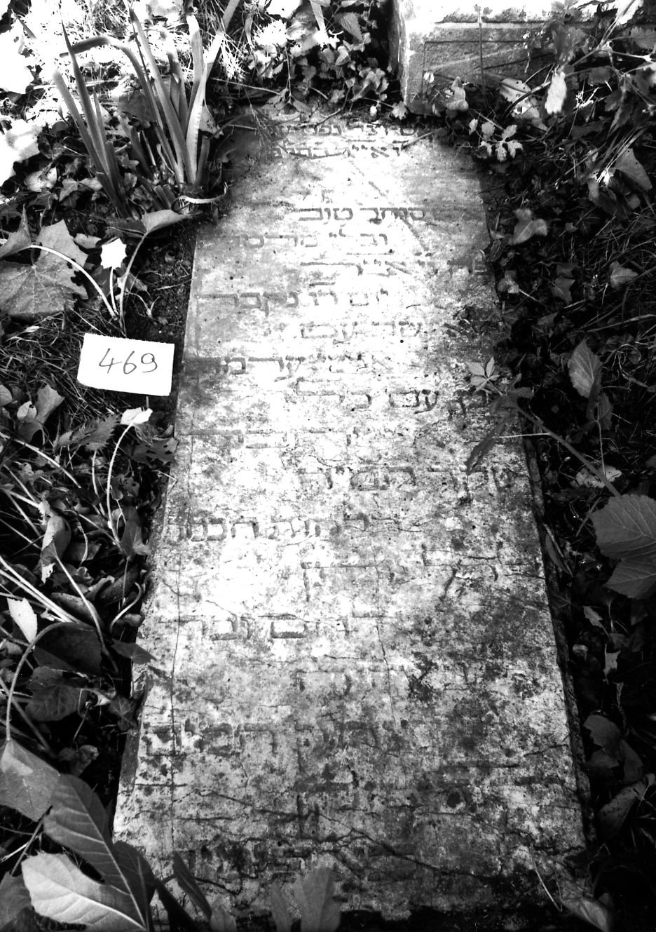 coperchio di sarcofago - ambito veneto (sec. XVII)