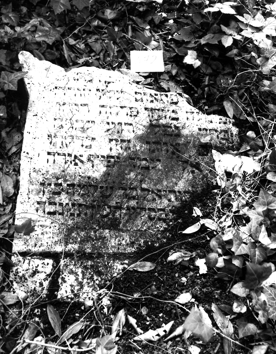 lapide - ambito veneto (sec. XVI)