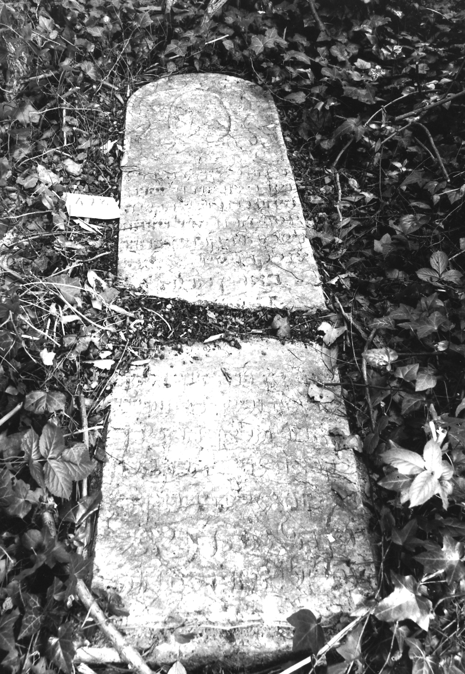 coperchio di sarcofago - ambito veneto (sec. XVIII)