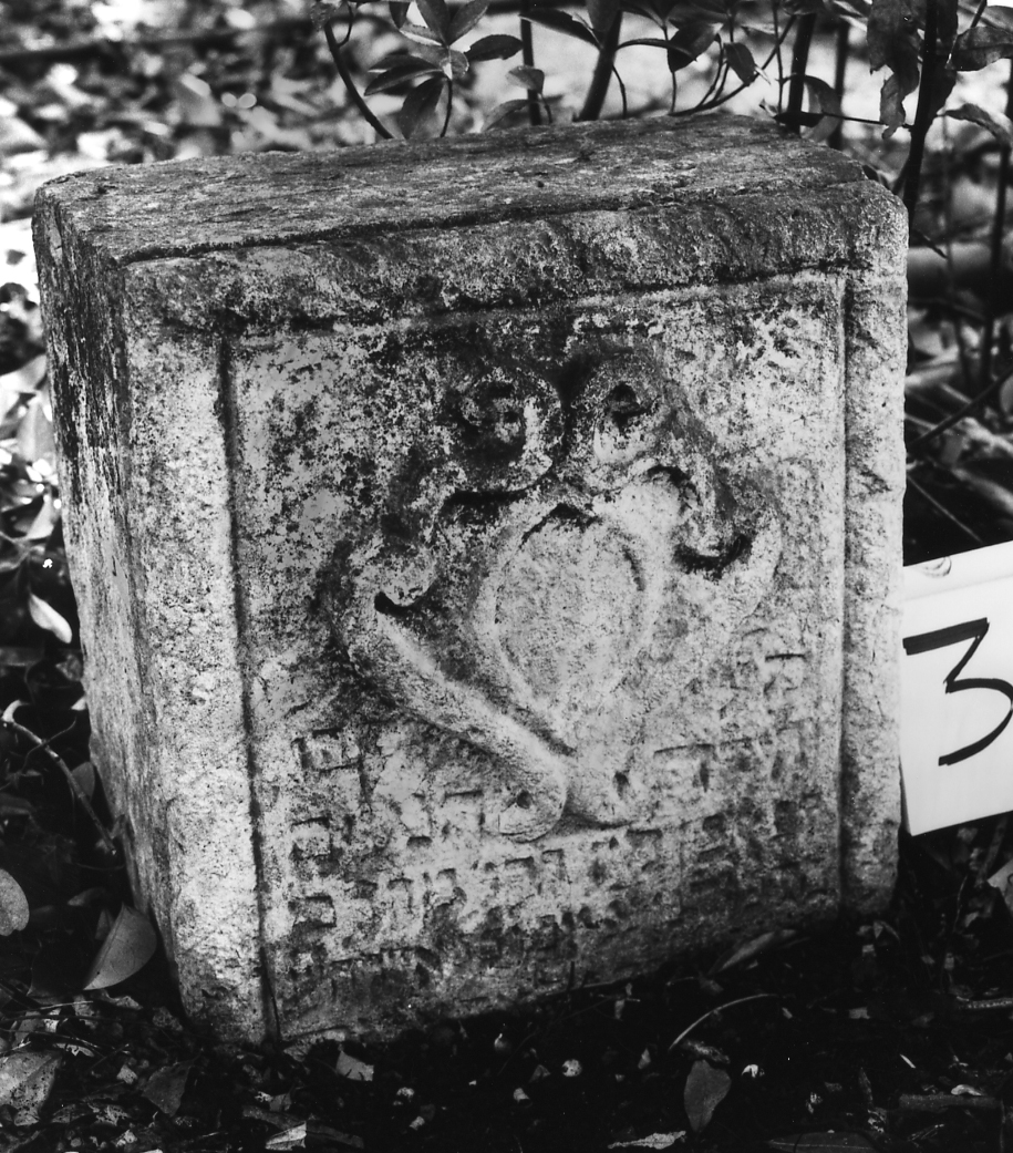 coperchio di sarcofago - ambito veneto (sec. XVIII)