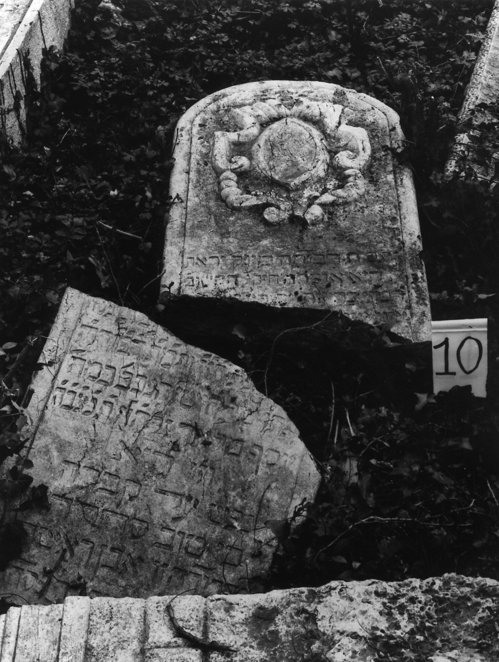 lapide - ambito veneto (sec. XVII)