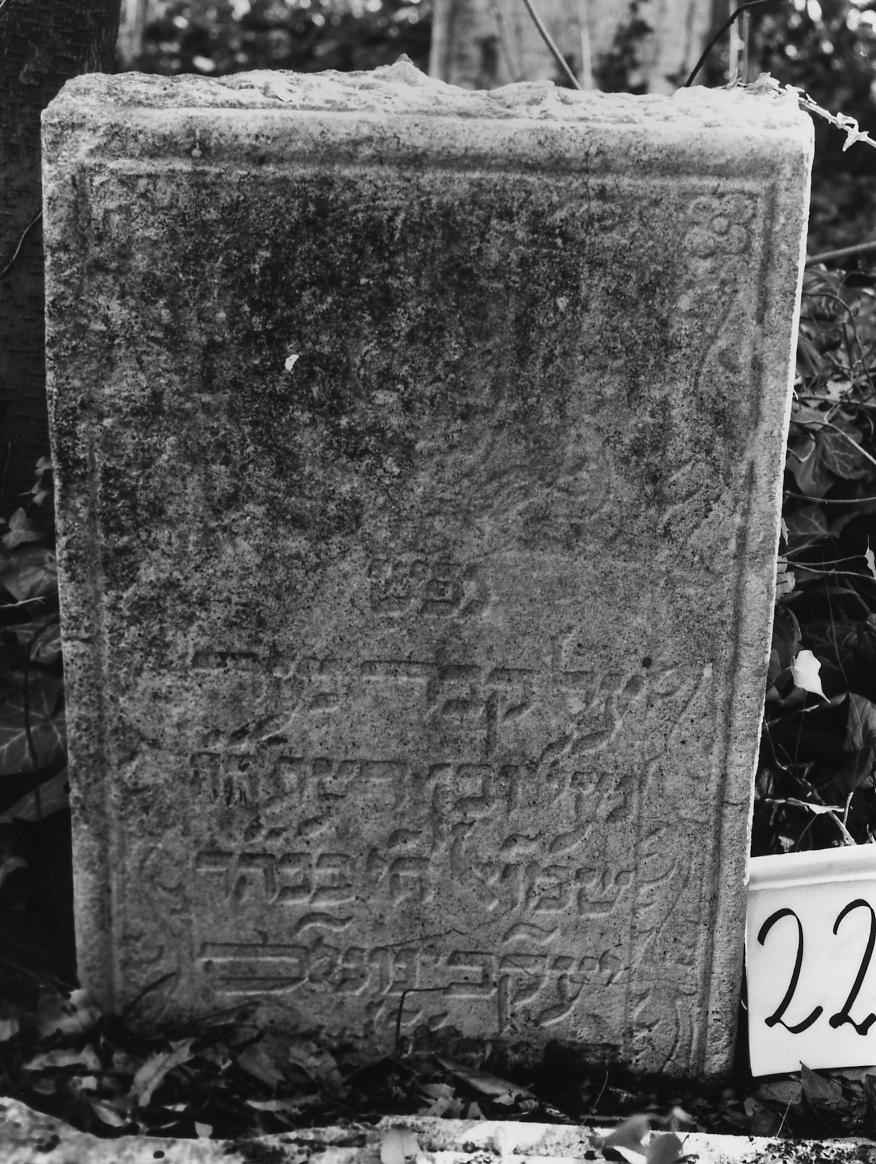 coperchio di sarcofago - ambito veneto (sec. XVII)