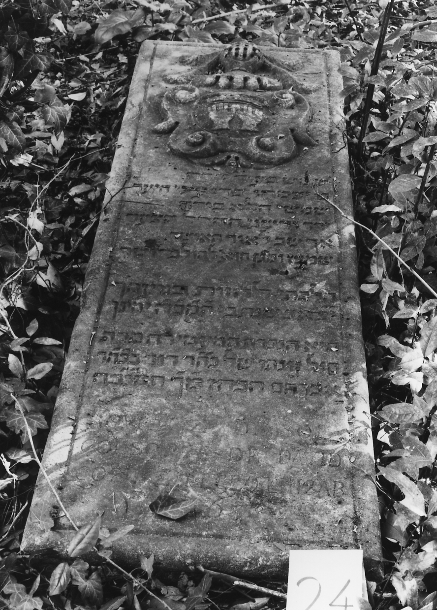 coperchio di sarcofago - ambito veneto (sec. XVIII)