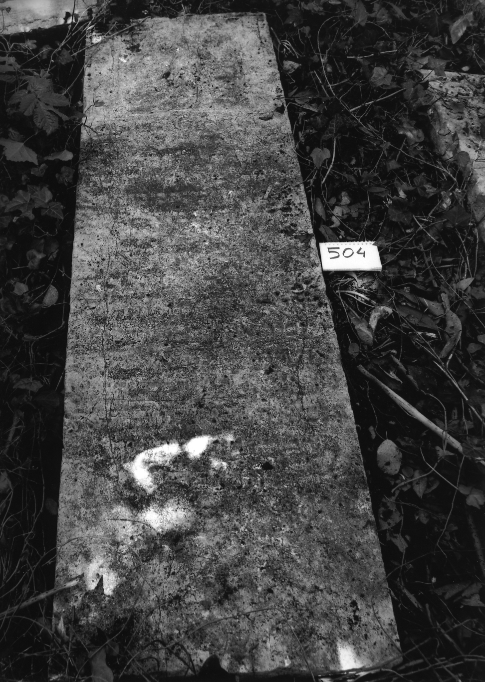 coperchio di sarcofago - ambito veneto (sec. XVII)