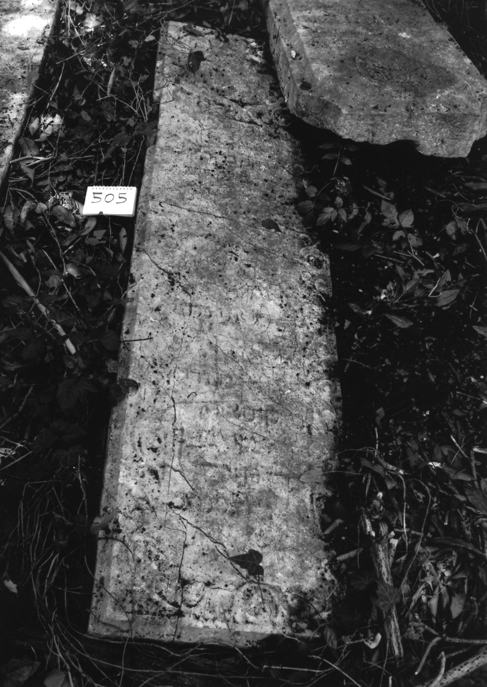 coperchio di sarcofago - ambito veneto (sec. XVII)