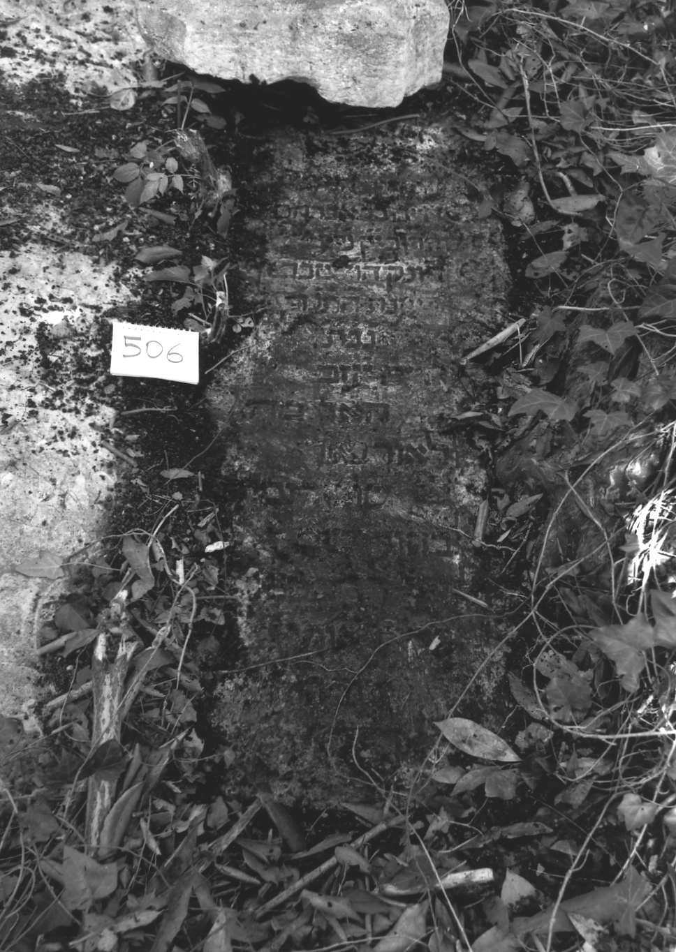 coperchio di sarcofago - ambito veneto (sec. XVII)