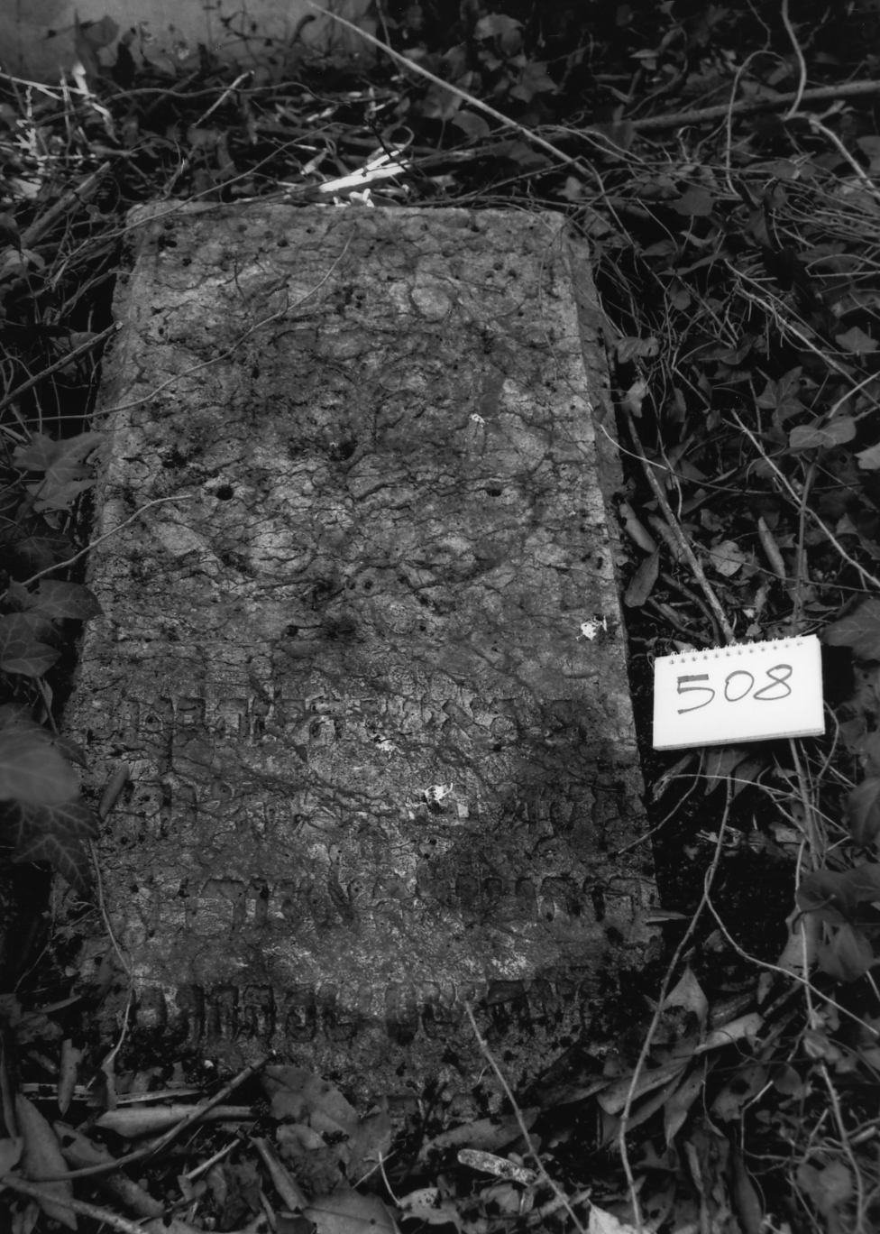 coperchio di sarcofago - ambito veneto (sec. XVII)