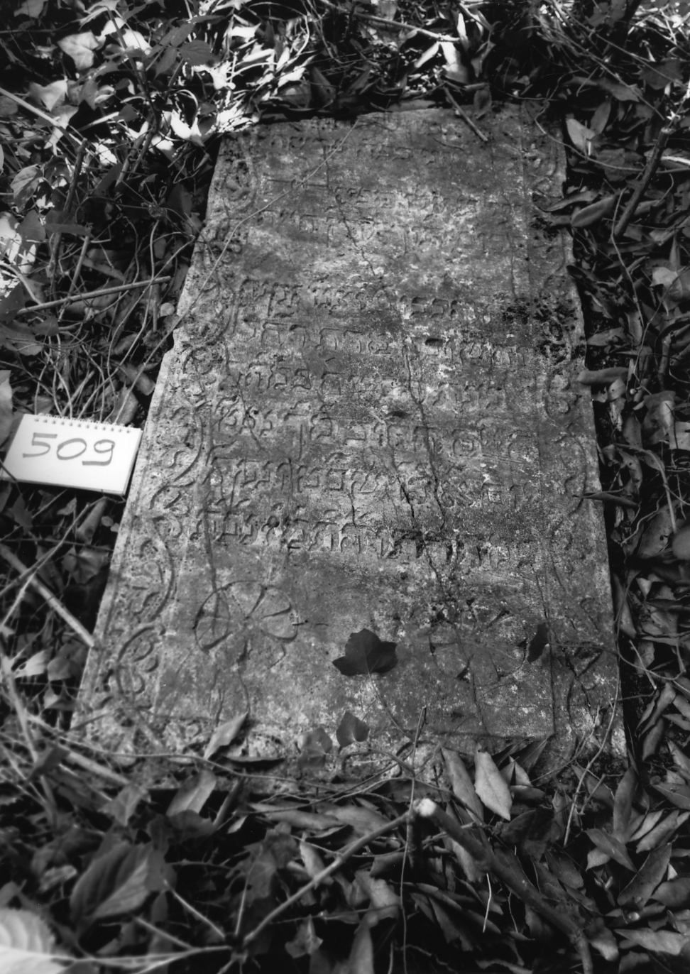 coperchio di sarcofago - ambito veneto (sec. XVII)