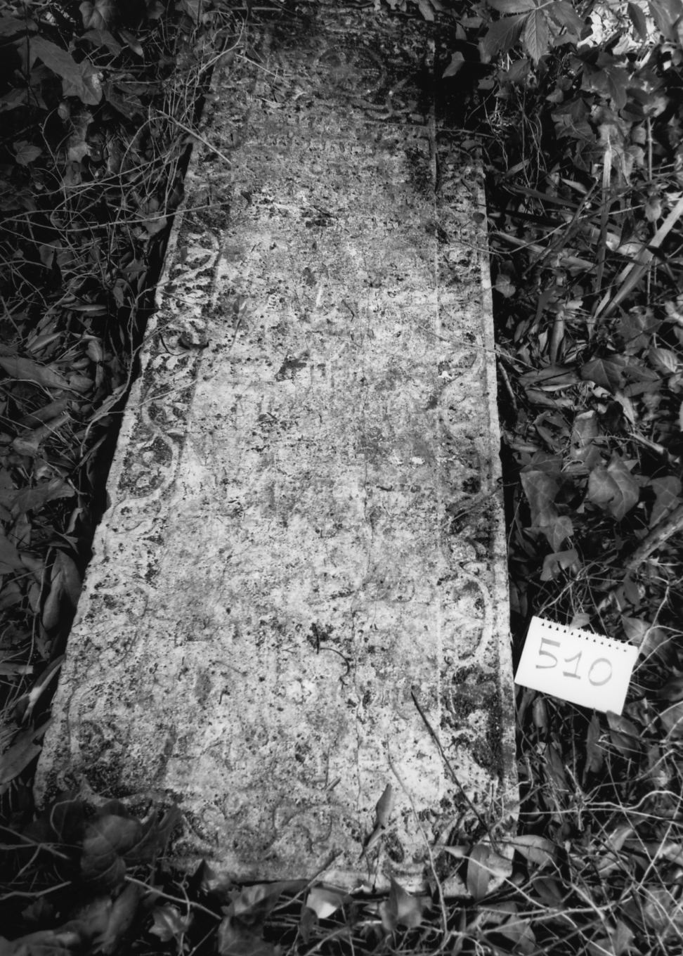 coperchio di sarcofago - ambito veneto (sec. XVII)