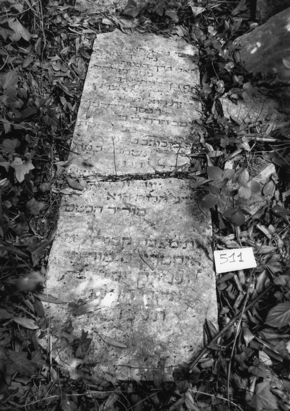 coperchio di sarcofago - ambito veneto (sec. XVII)