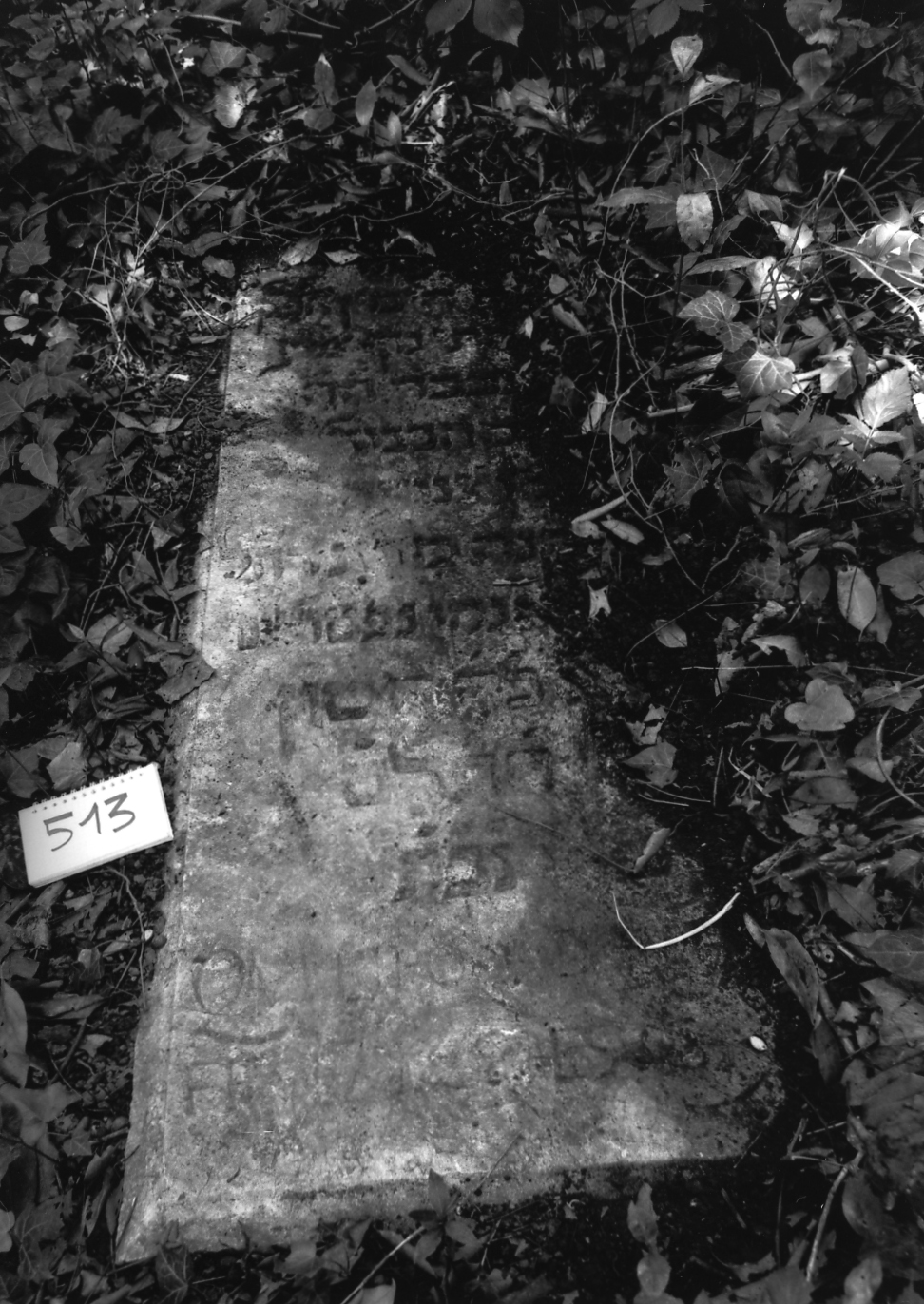 coperchio di sarcofago - ambito veneto (sec. XVII)