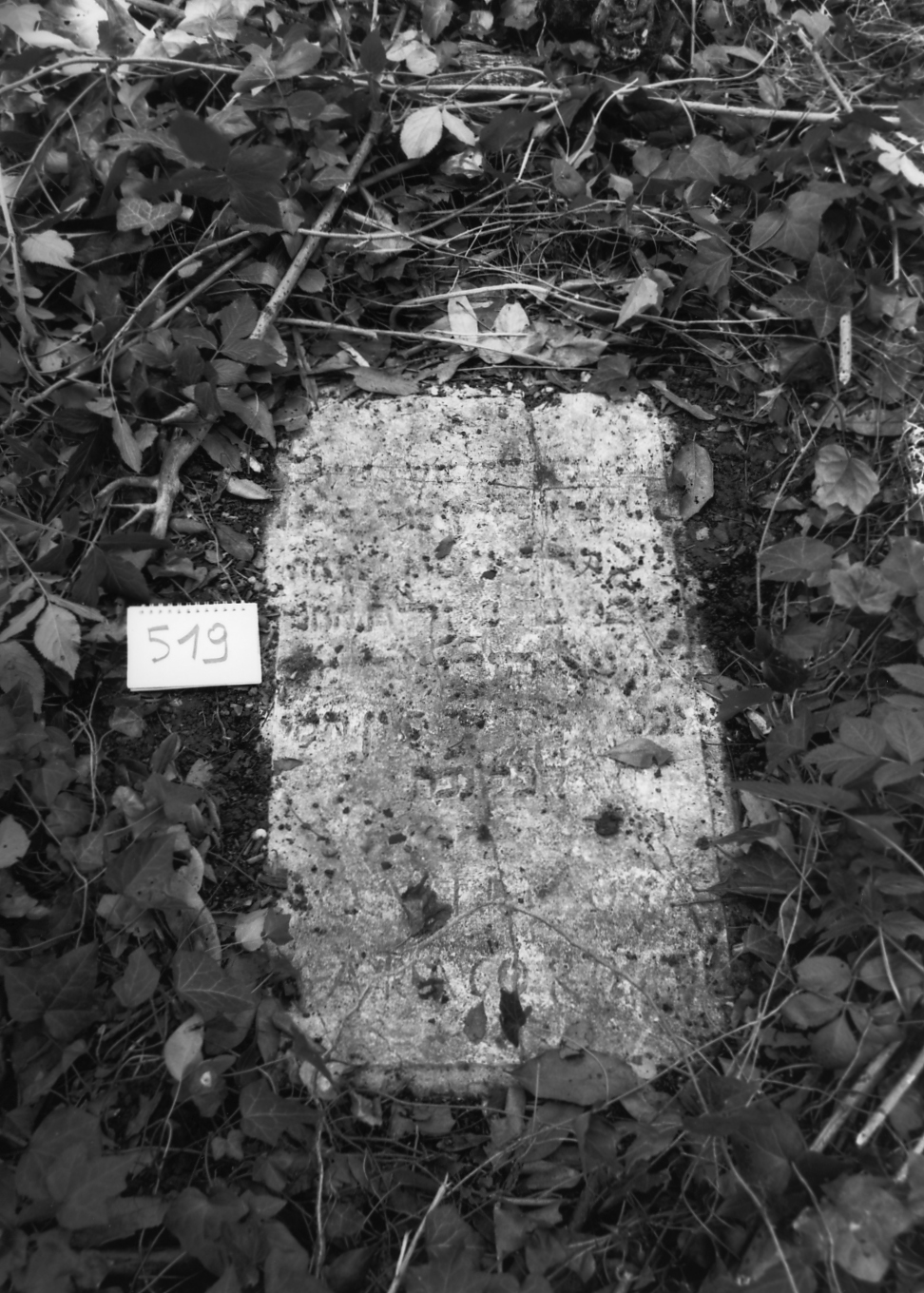 coperchio di sarcofago - ambito veneto (sec. XVII)