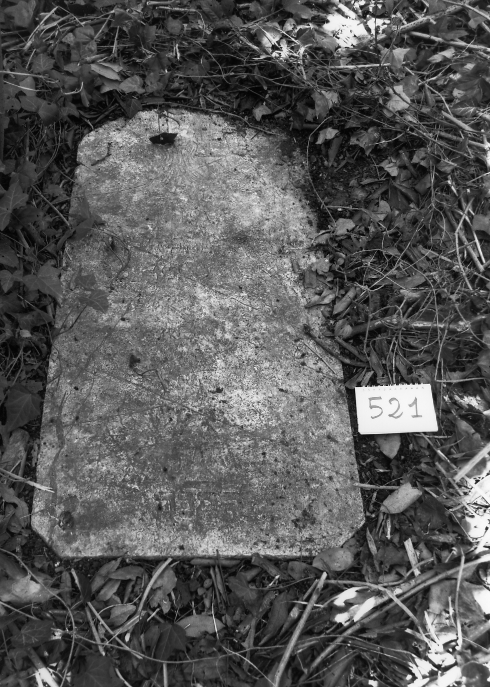 coperchio di sarcofago - ambito veneto (sec. XVIII)