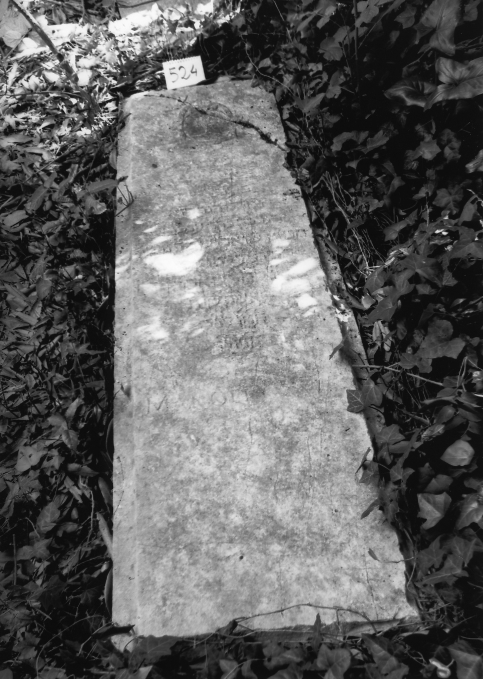 coperchio di sarcofago - ambito veneto (sec. XVII)