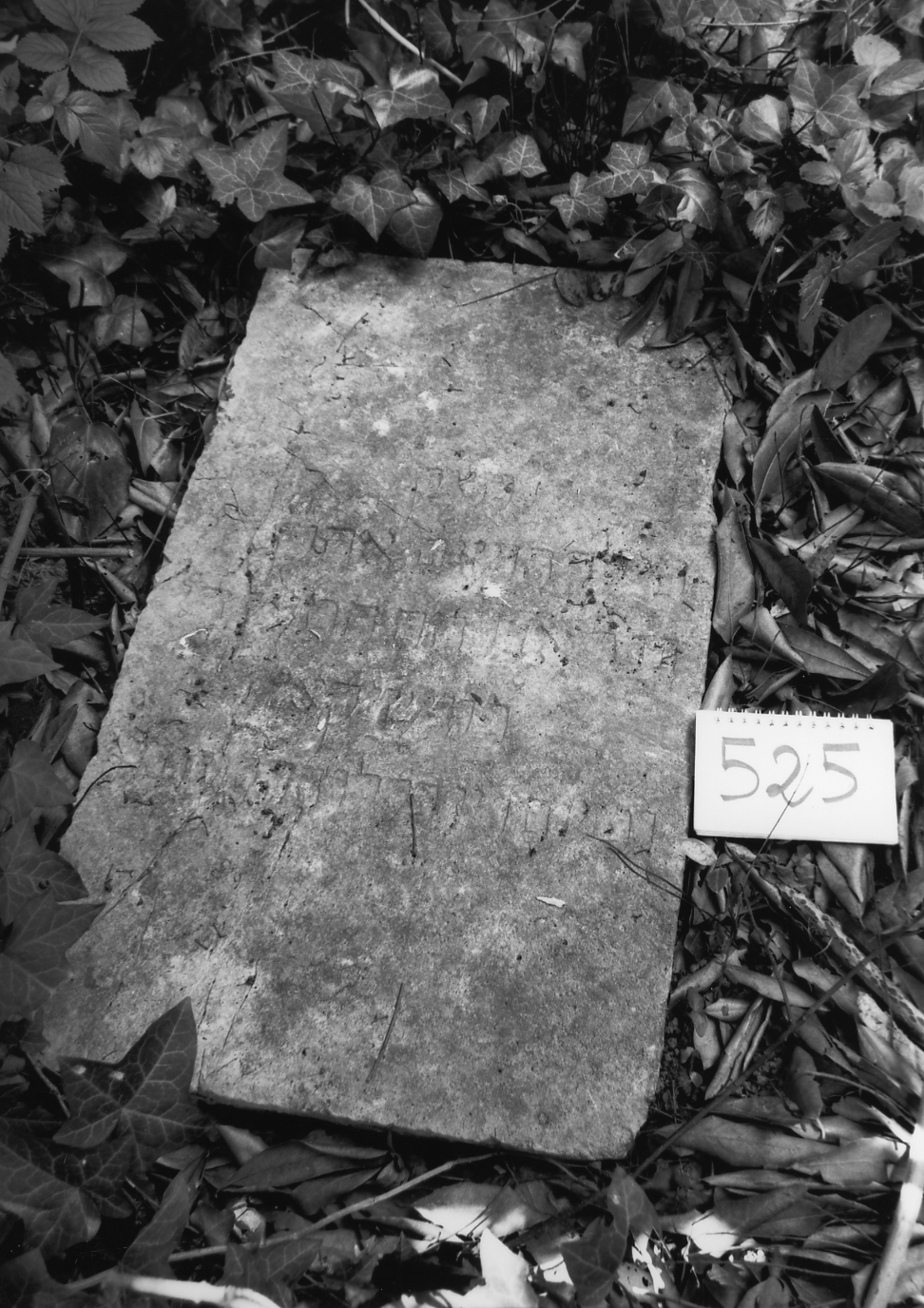 coperchio di sarcofago - ambito veneto (sec. XVII)