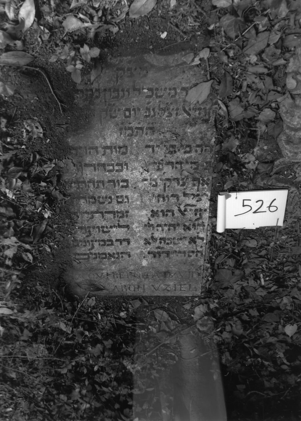 coperchio di sarcofago - ambito veneto (sec. XVII)