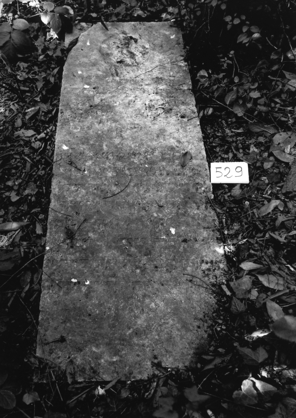 coperchio di sarcofago - ambito veneto (sec. XVII)