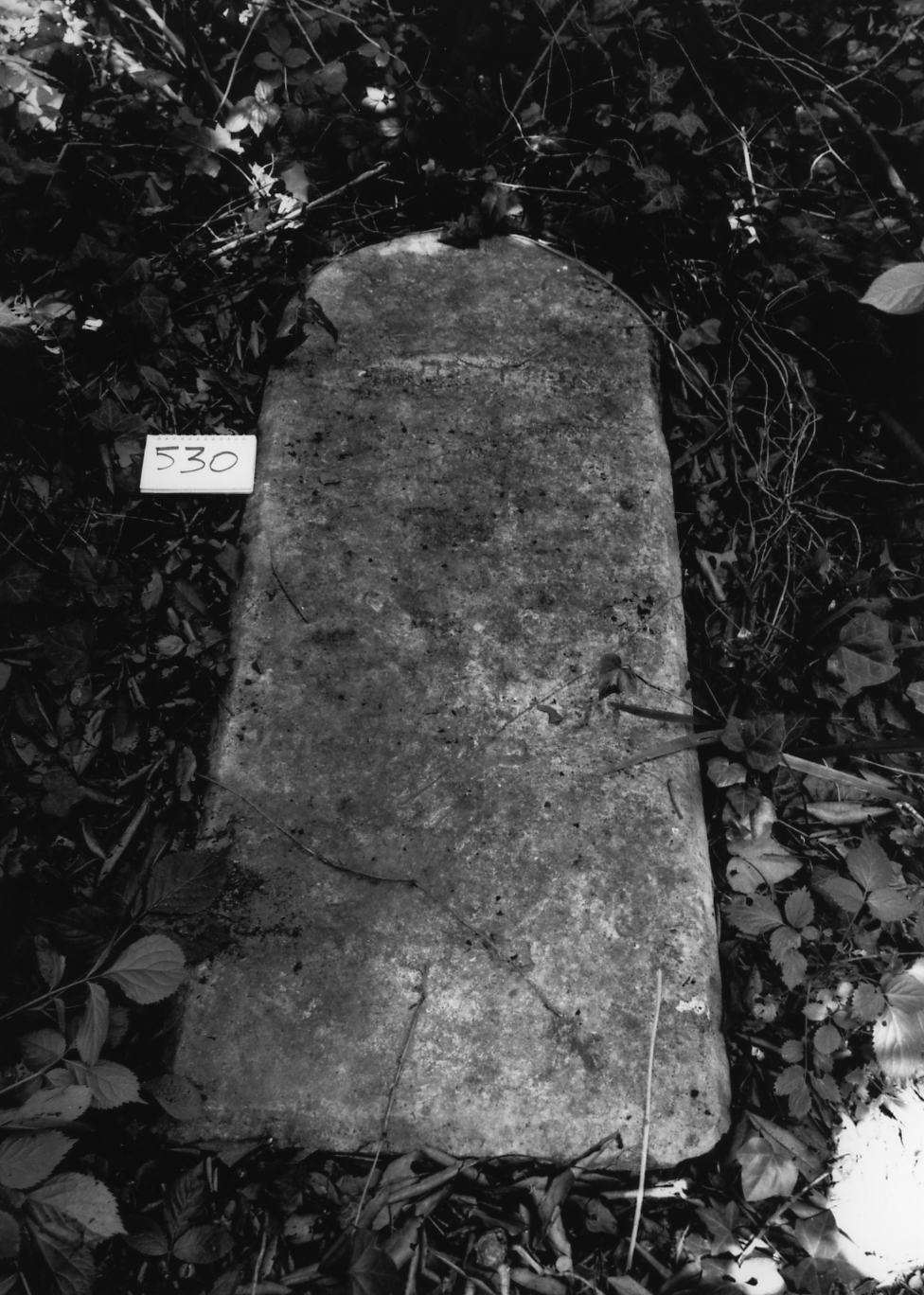 coperchio di sarcofago - ambito veneto (sec. XVII)