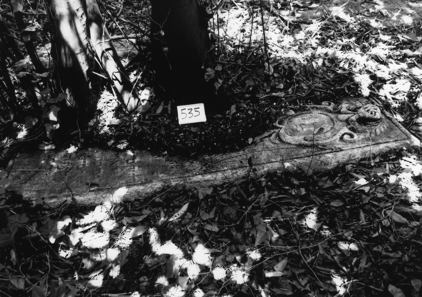 coperchio di sarcofago - ambito veneto (sec. XVII)