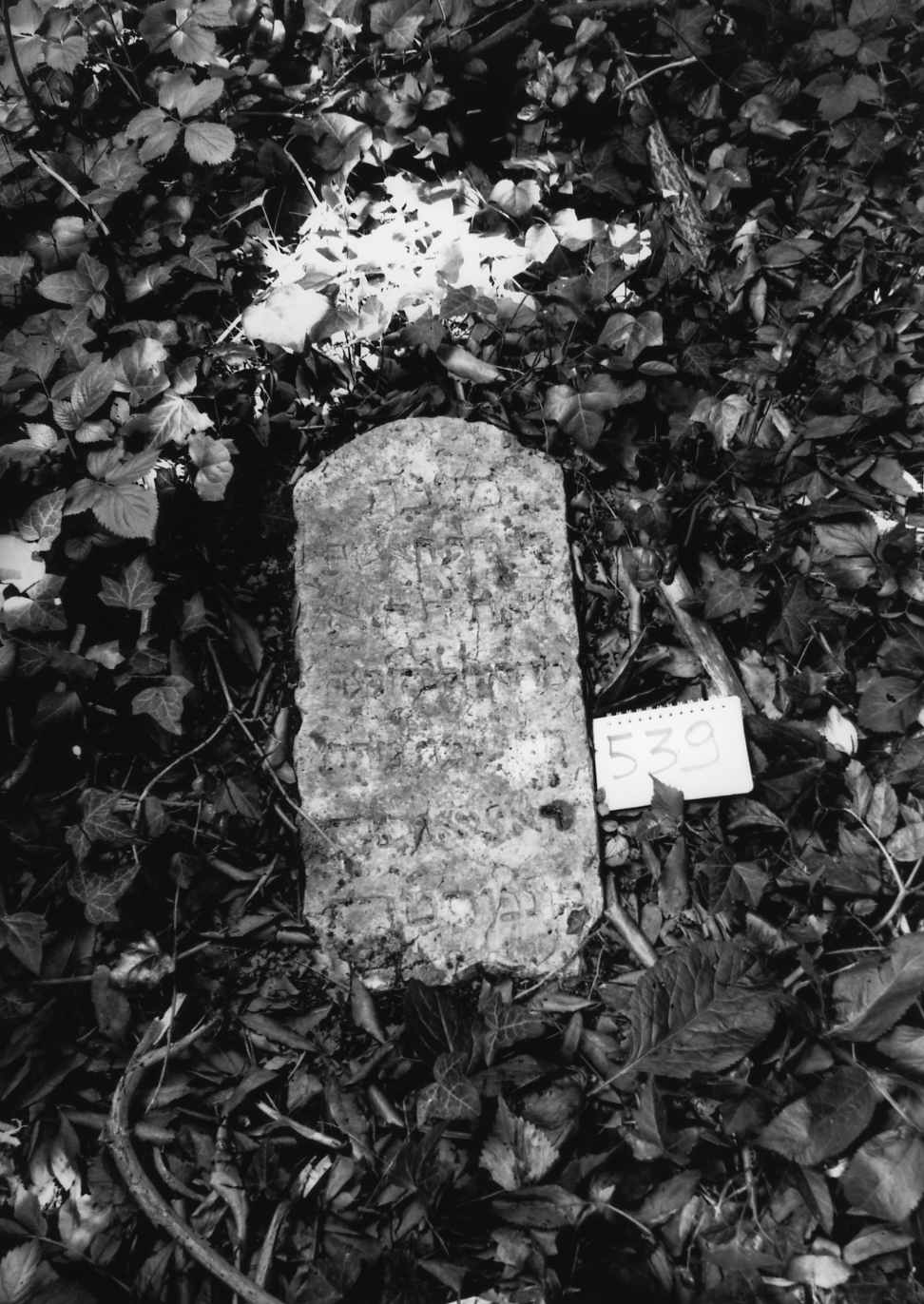 lapide - ambito veneto (sec. XVII)