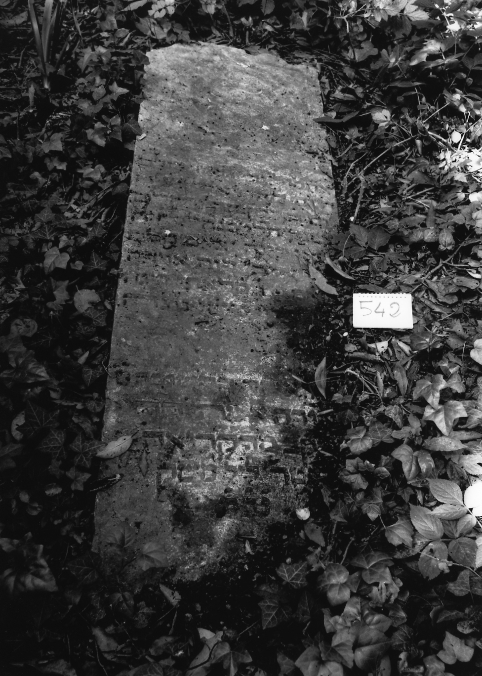 coperchio di sarcofago - ambito veneto (sec. XVII)