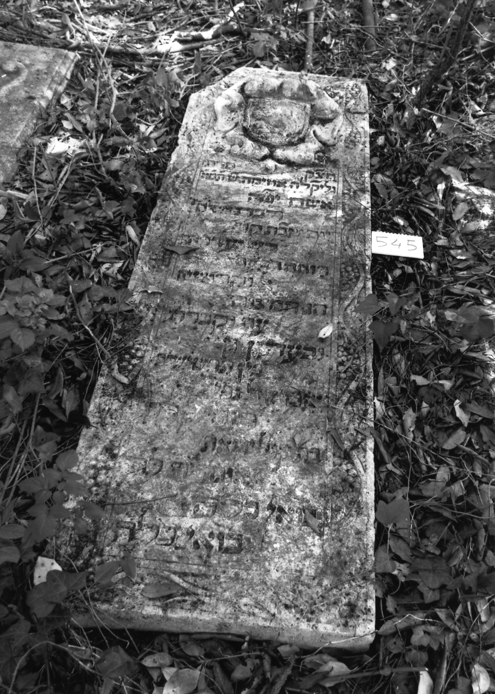 coperchio di sarcofago - ambito veneto (sec. XVII)