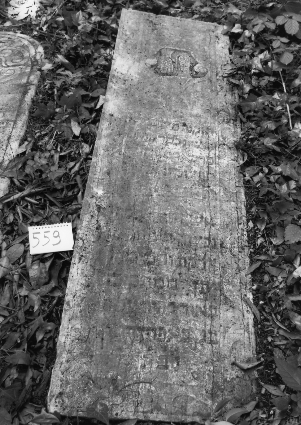 coperchio di sarcofago - ambito veneto (sec. XVIII)