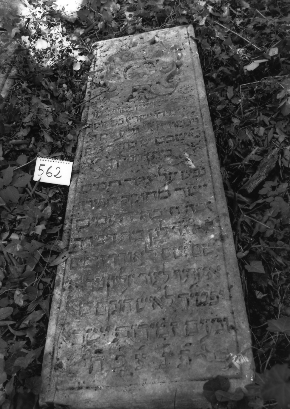 coperchio di sarcofago - ambito veneto (sec. XVII)