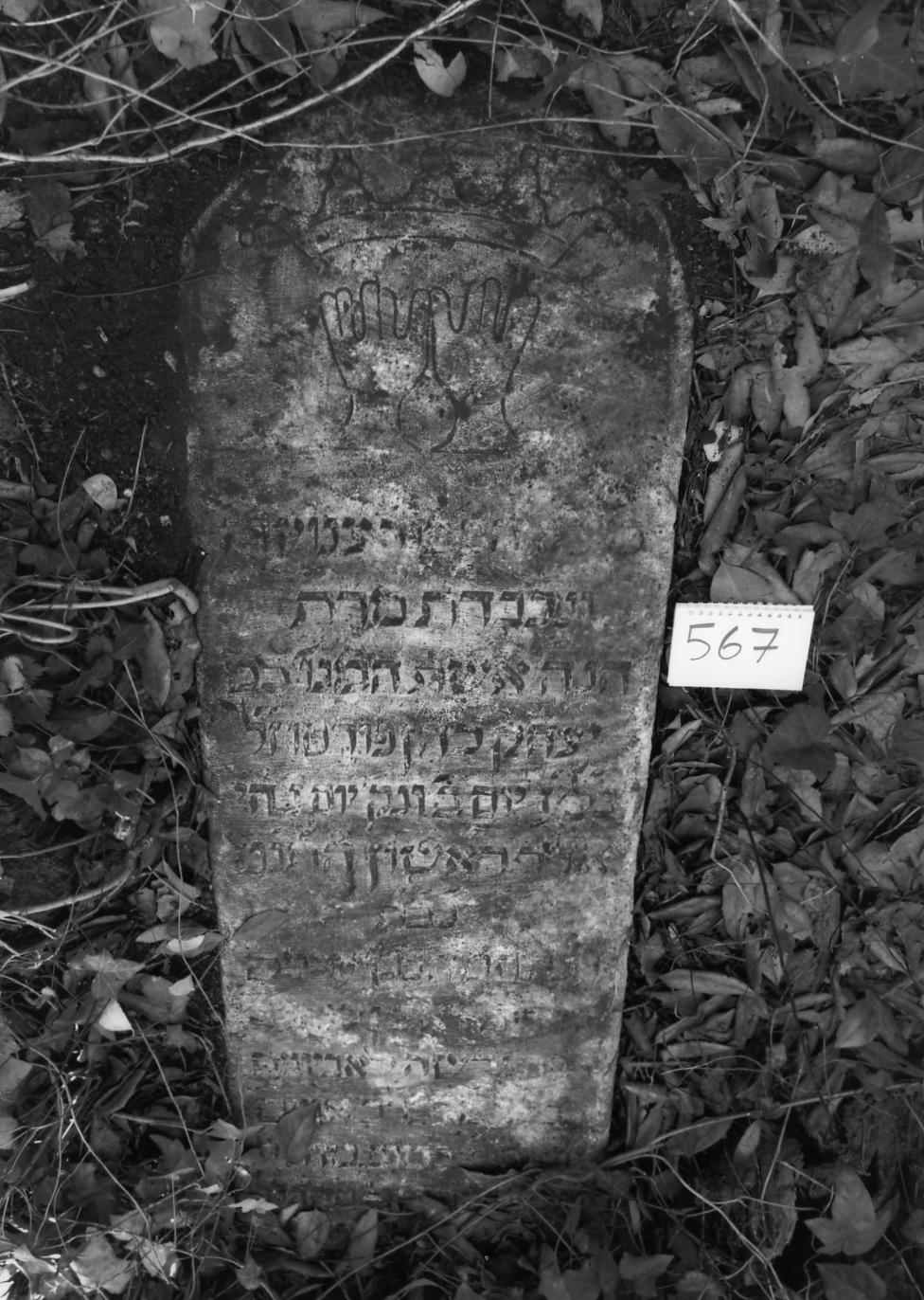 coperchio di sarcofago - ambito veneto (sec. XVII)