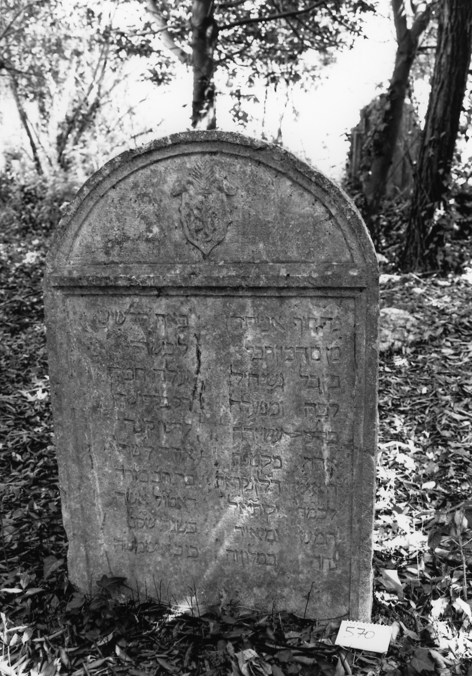 lapide - ambito veneto (sec. XVII)