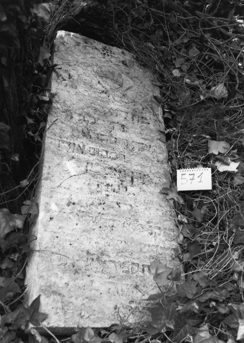 coperchio di sarcofago - ambito veneto (sec. XVII)