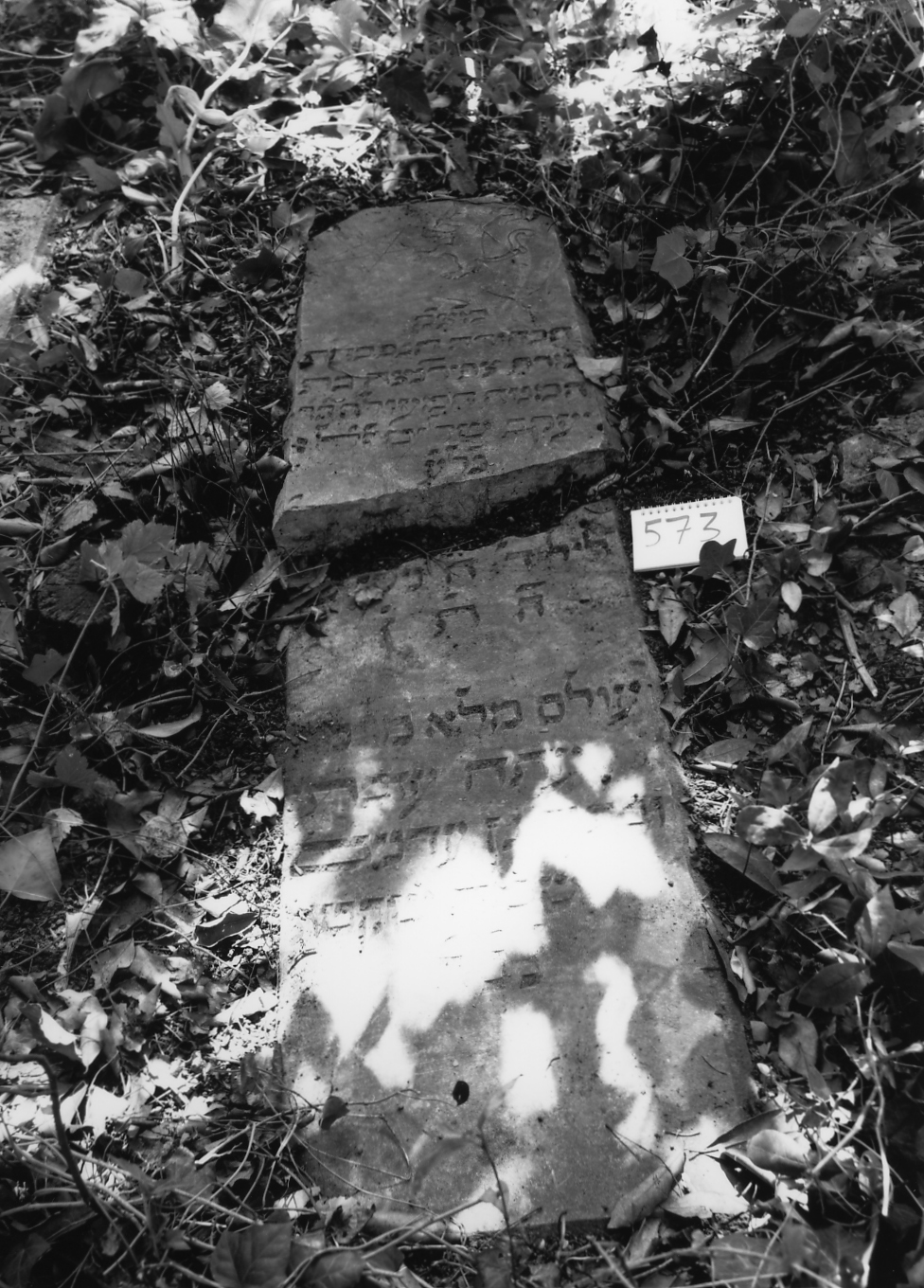 coperchio di sarcofago - ambito veneto (sec. XVII)