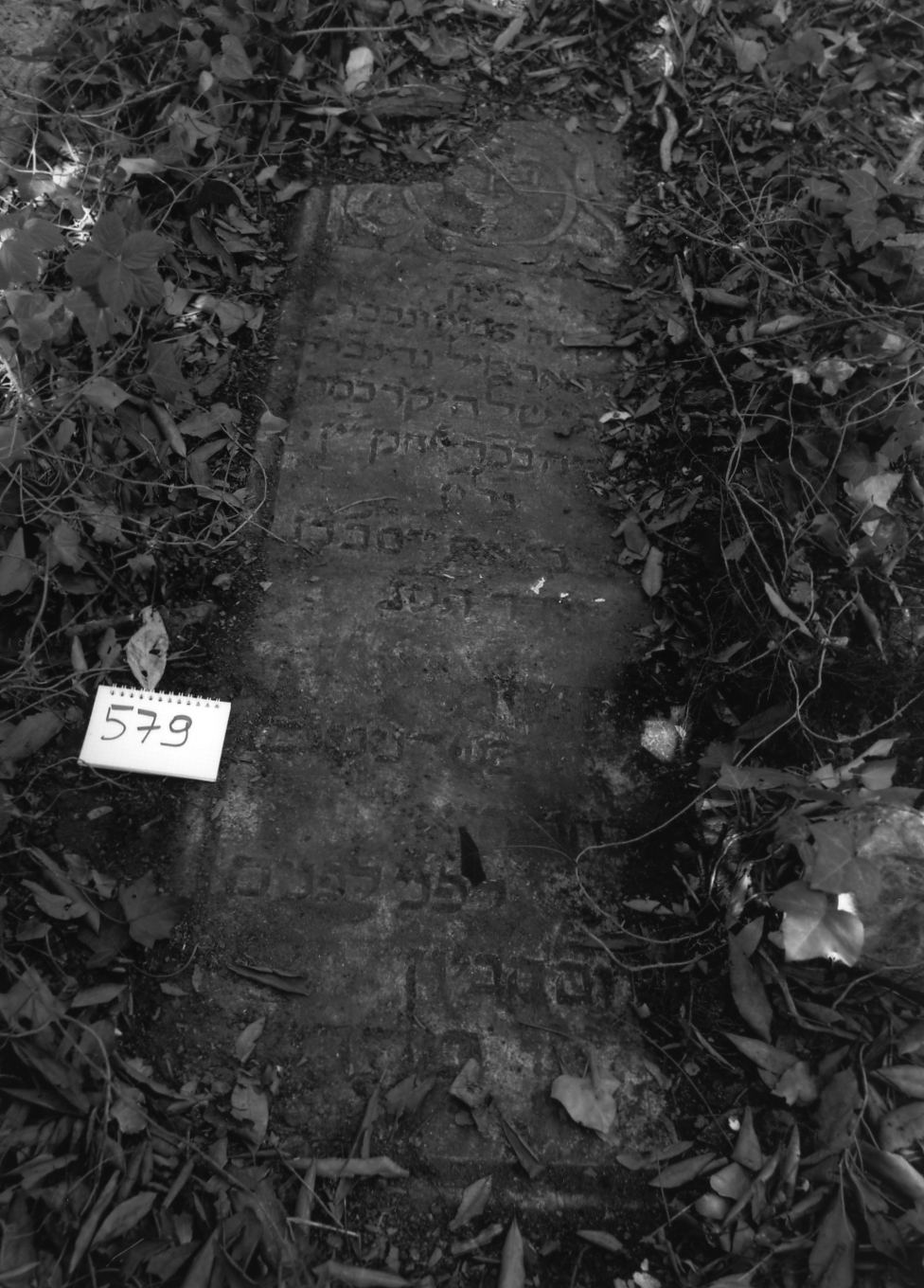 coperchio di sarcofago - ambito veneto (sec. XVIII)