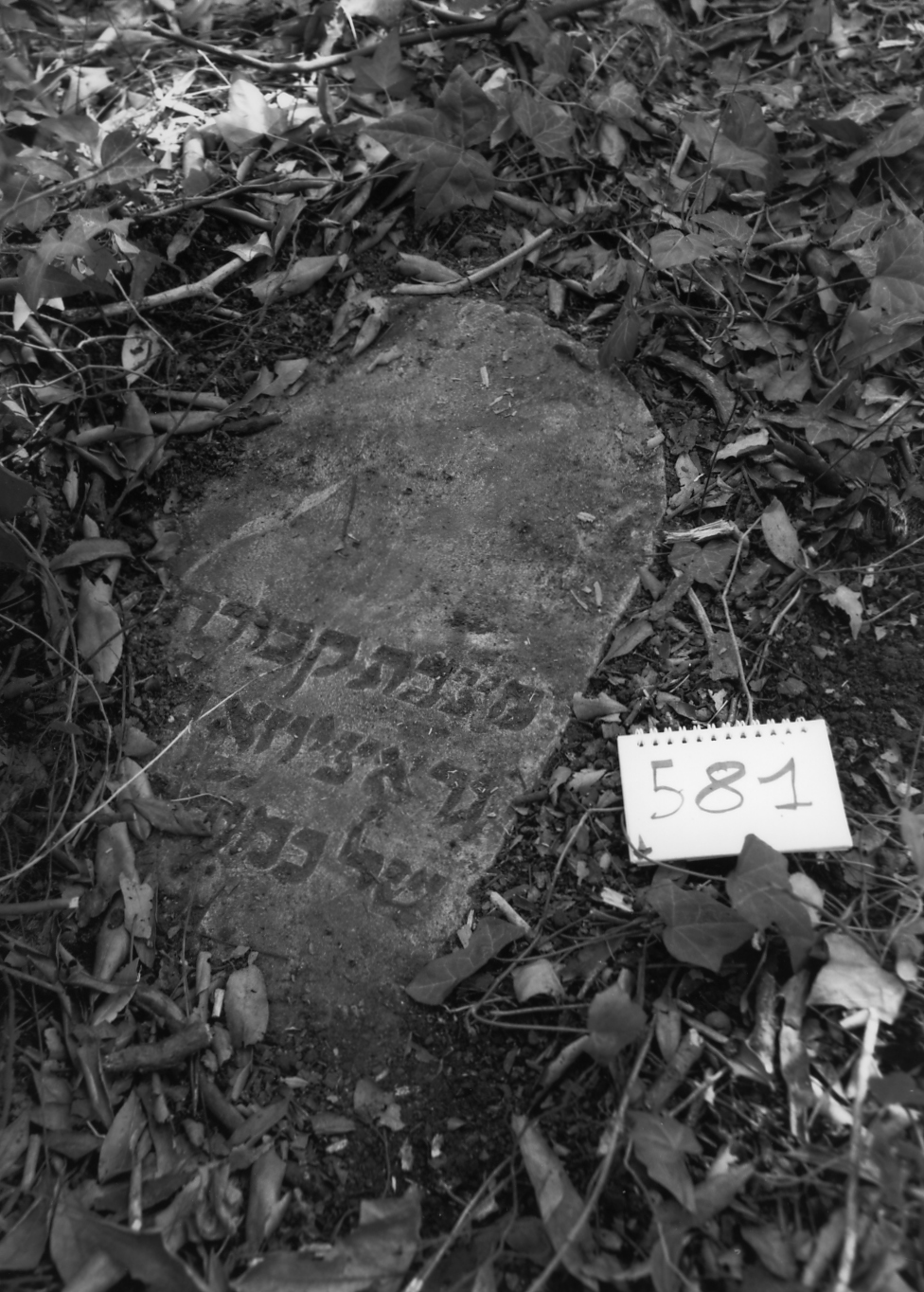 lapide - ambito veneto (sec. XVII)