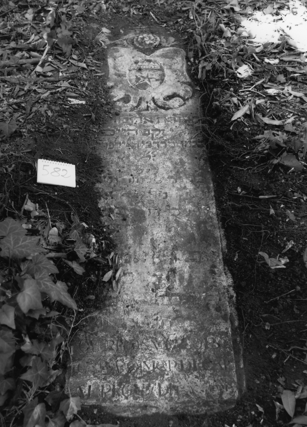 coperchio di sarcofago - ambito veneto (sec. XVII)