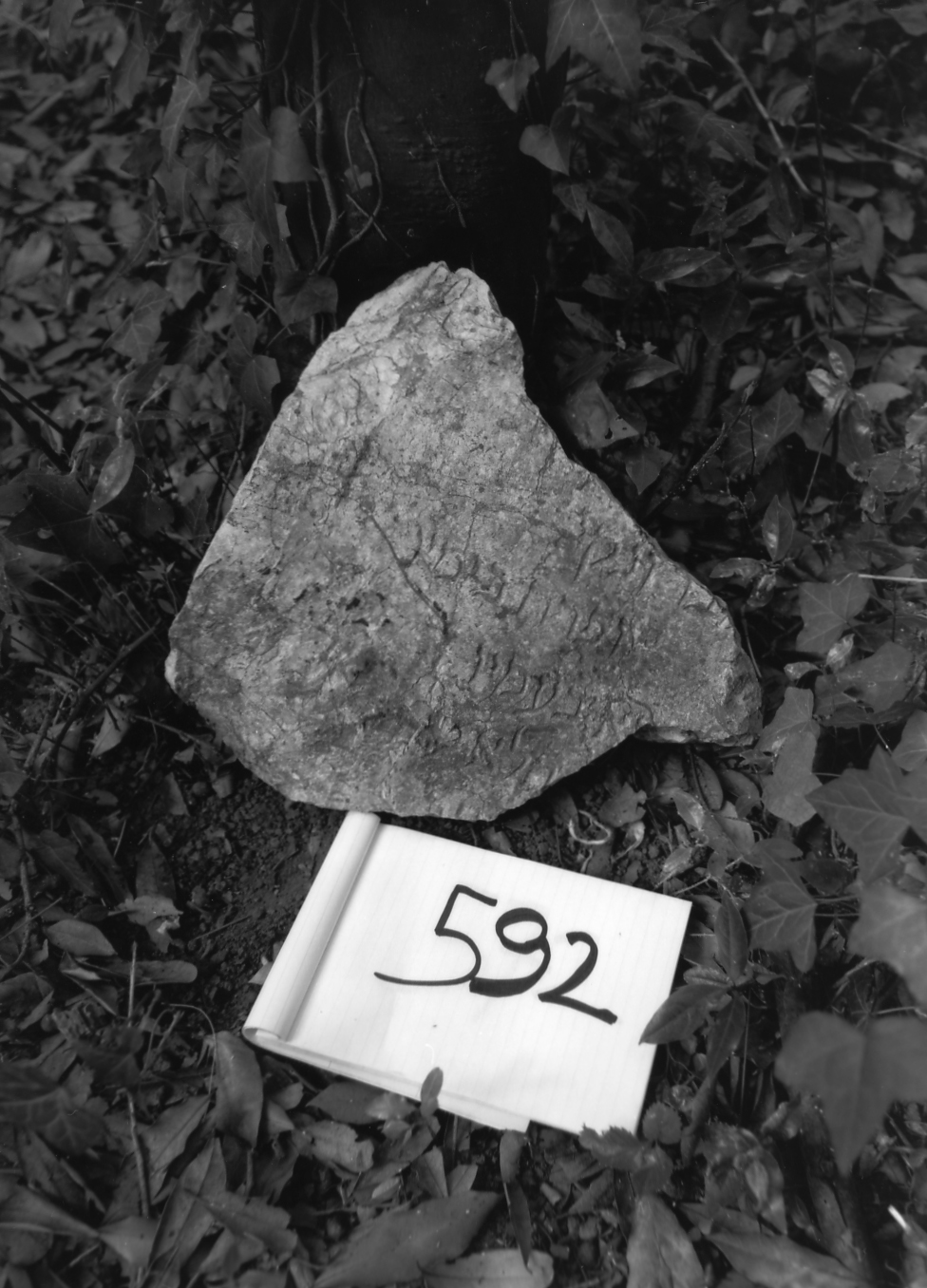 lapide - ambito veneto (sec. XVII)