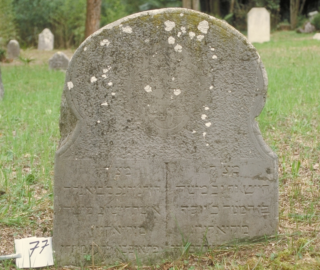 iscrizione (lapide tombale) - ambito veneto (sec. XIX)