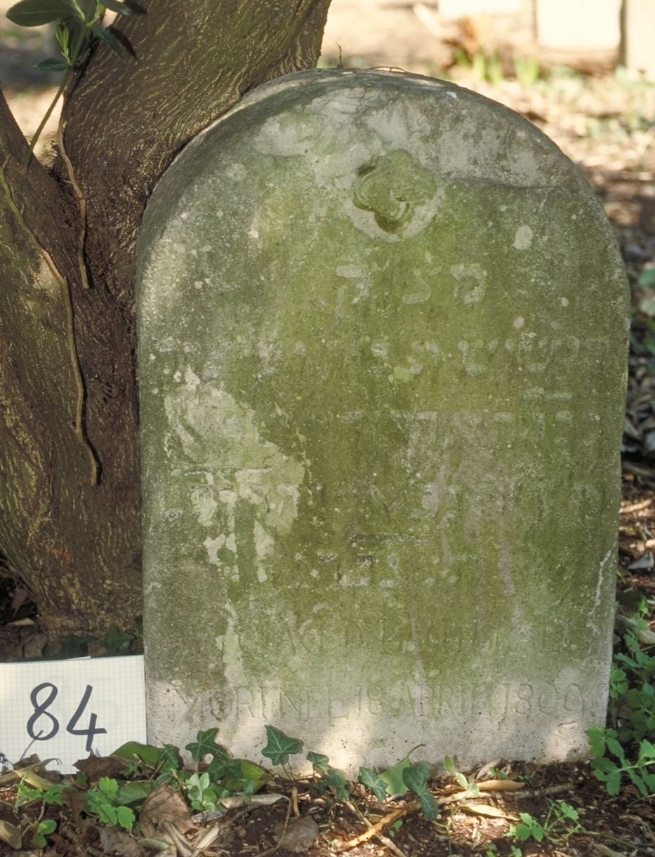 iscrizione (lapide tombale) - ambito veneto (sec. XIX)