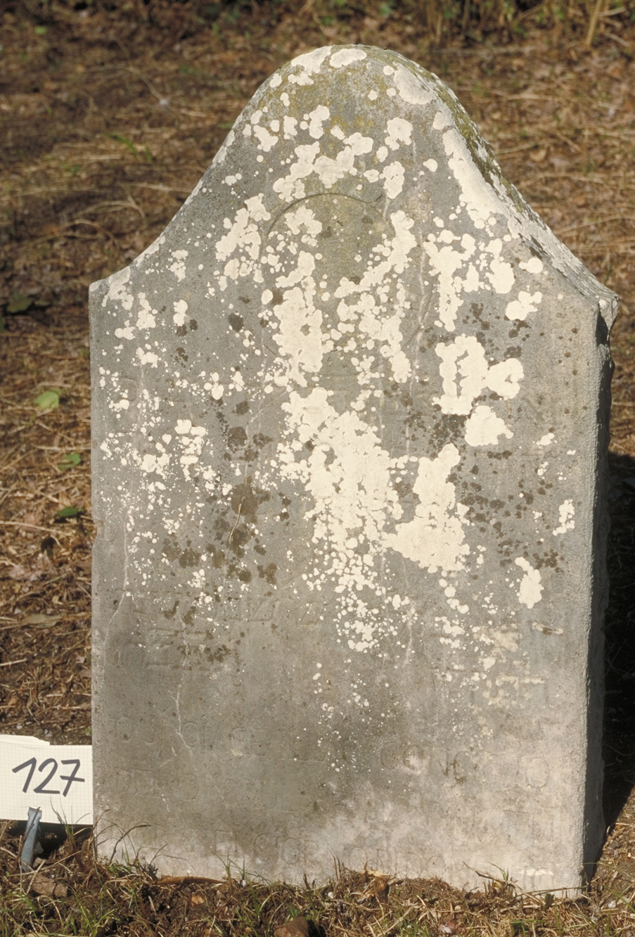 iscrizione (lapide tombale) - ambito veneto (sec. XIX)