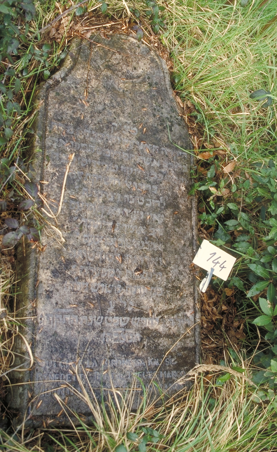 iscrizione (lapide tombale) - ambito veneto (sec. XIX)