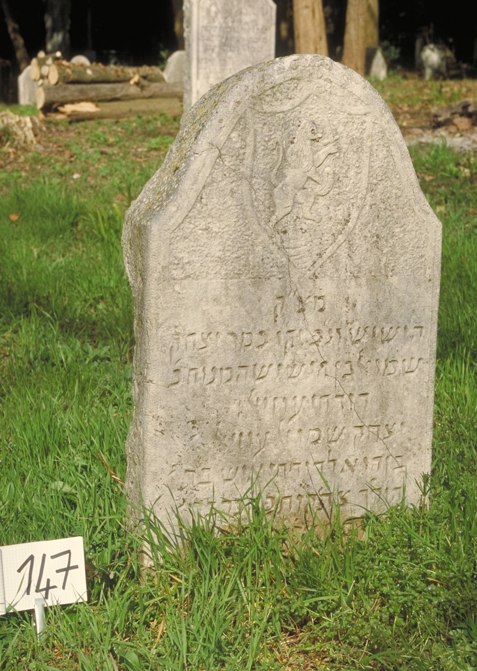 iscrizione (lapide tombale) - ambito veneto (sec. XIX)