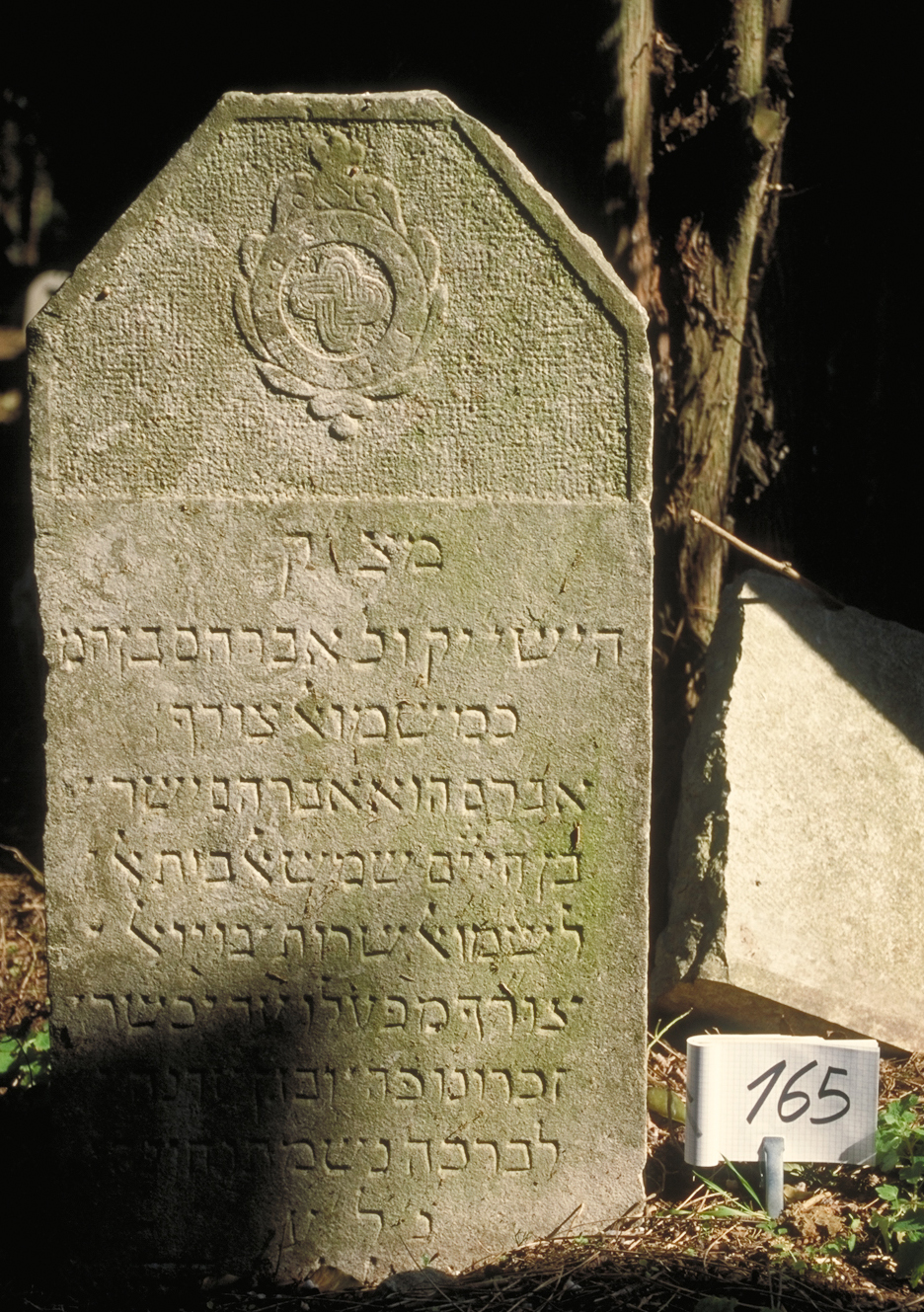 iscrizione (lapide tombale) - ambito veneto (sec. XIX)