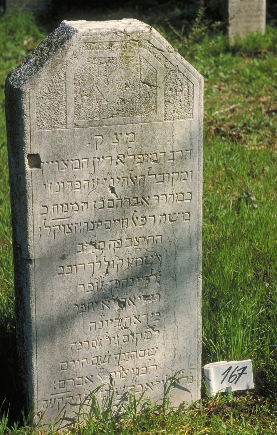 iscrizione (lapide tombale) - ambito veneto (sec. XIX)