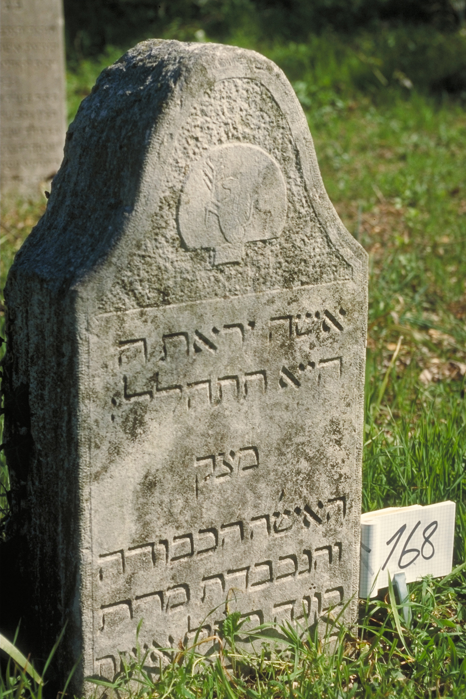 iscrizione (lapide tombale) - ambito veneto (sec. XIX)