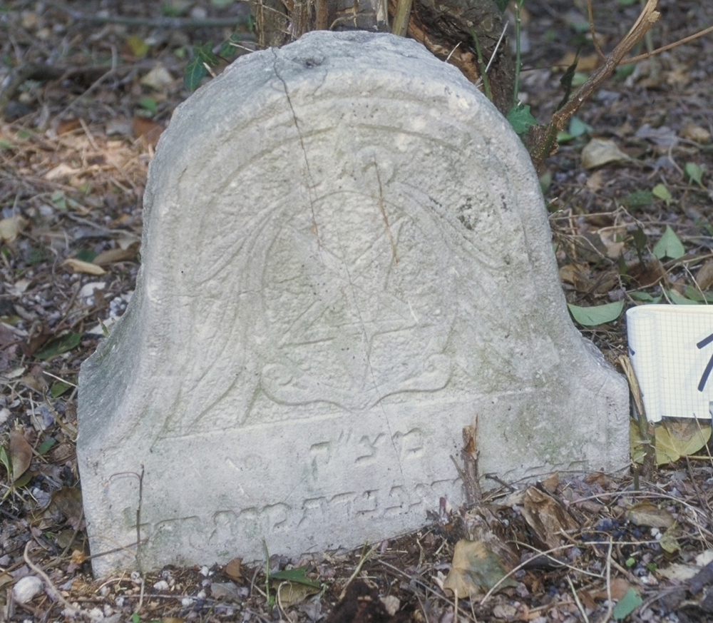 iscrizione (lapide tombale) - ambito veneto (sec. XIX)