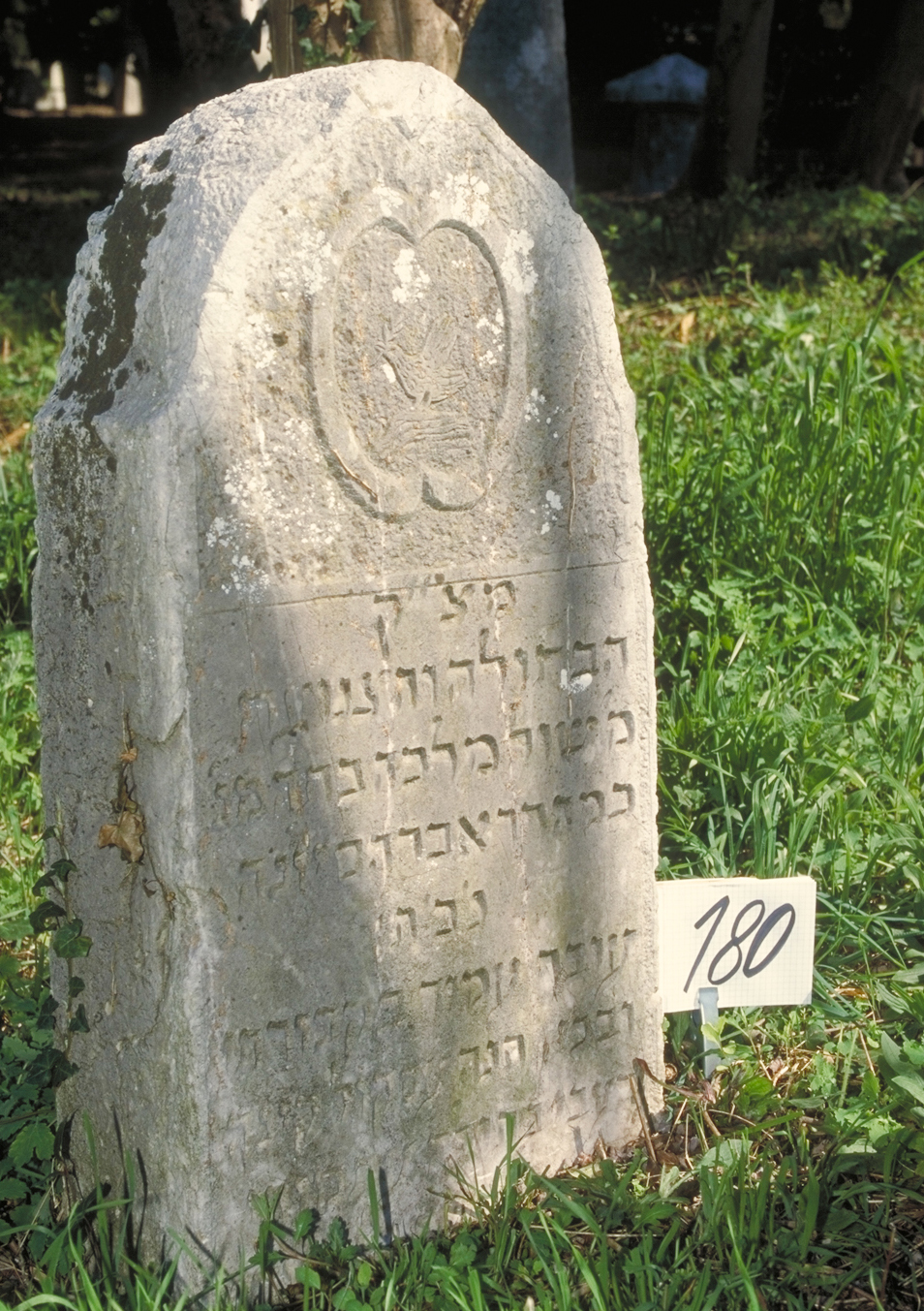 iscrizione (lapide tombale) - ambito veneto (sec. XIX)