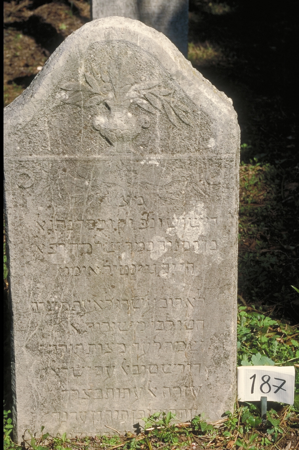 iscrizione (lapide tombale) - ambito veneto (sec. XIX)